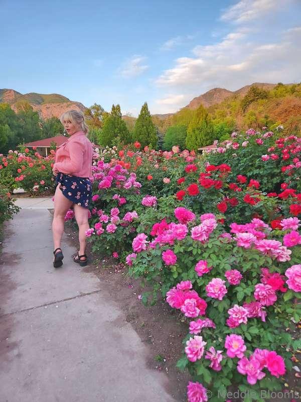 meddleblooms image #1