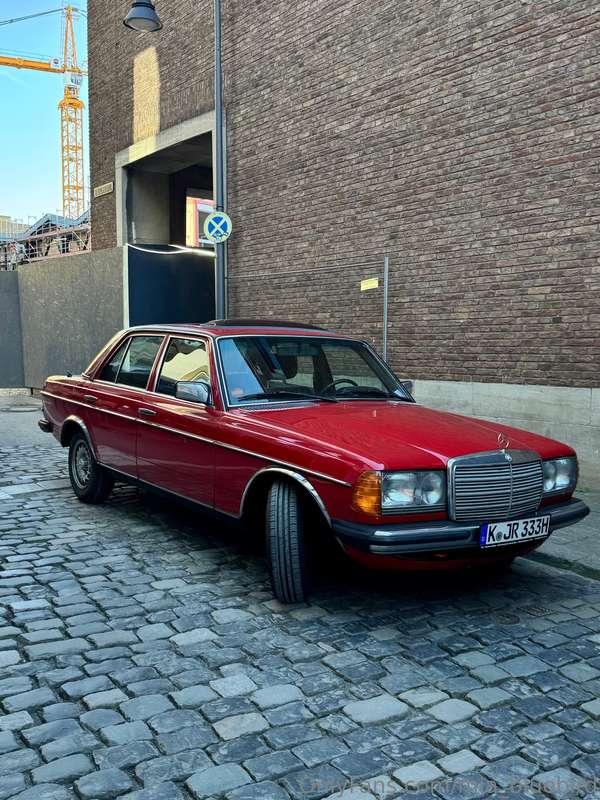 mia_bluebird image #0