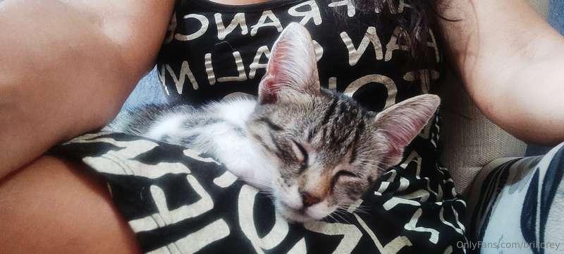 Lazy day 😍🐾🐾