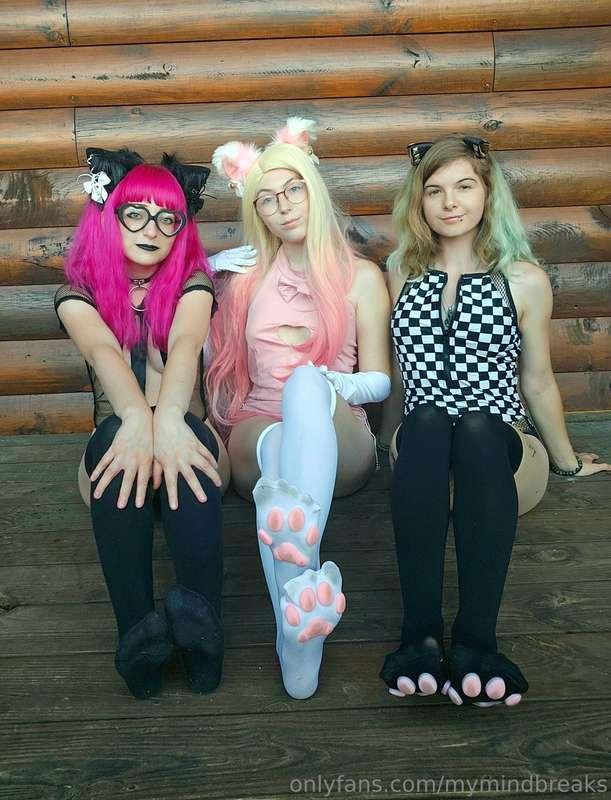 Which kitten are you adopting first? @nami3neko @galebkitty