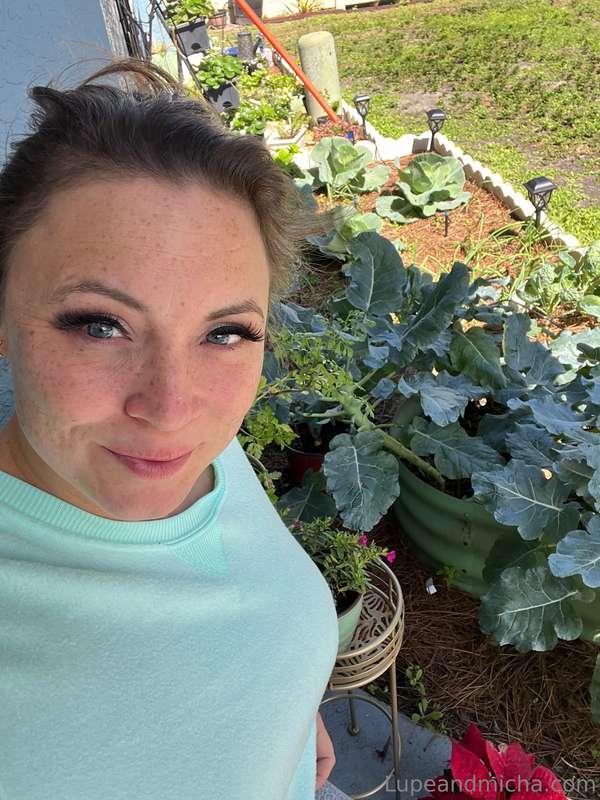 Garden weekly check in!! My yard is looking lush!!!