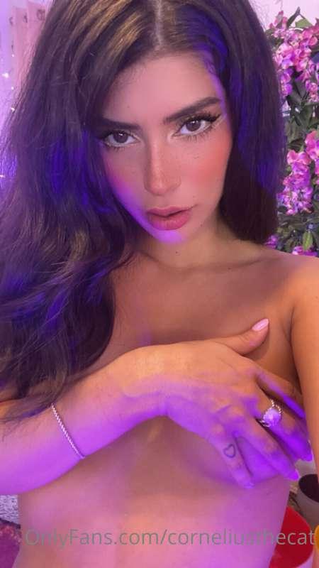 🐱