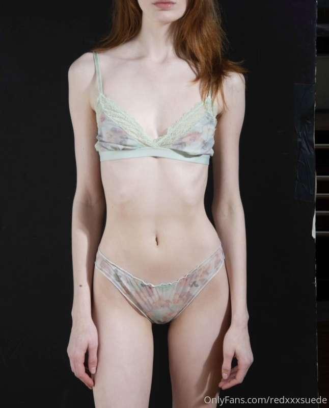 🧸 🕊