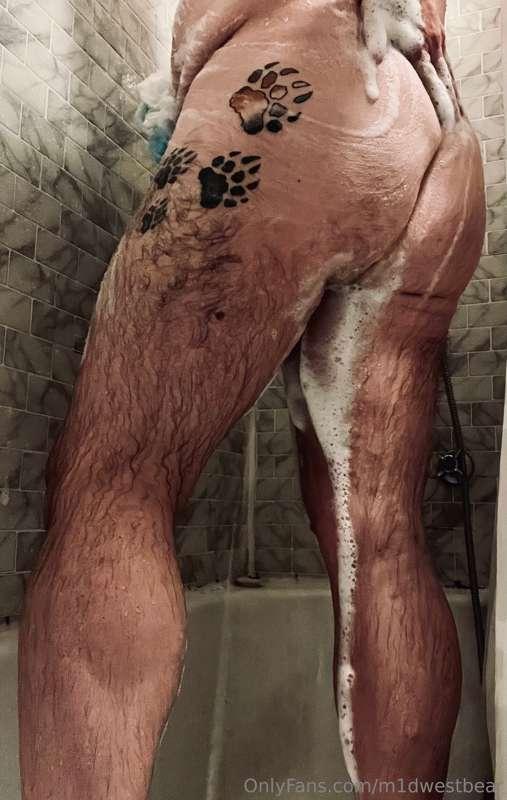 m1dwestbear image #0