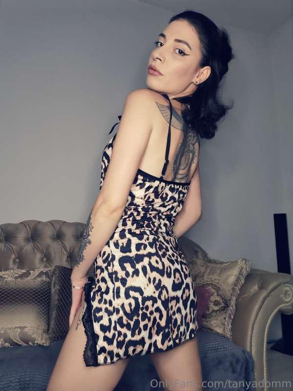 tanyadomm image #2