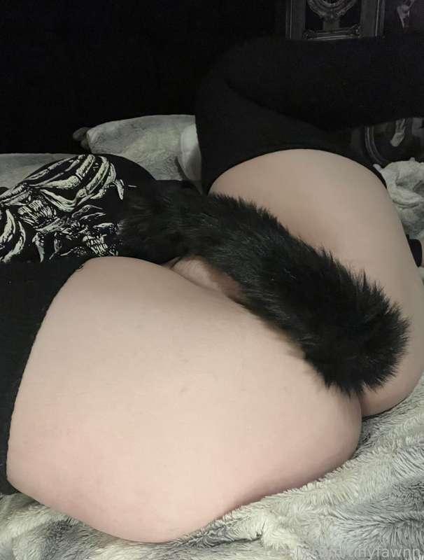 tinyfawnn image #3