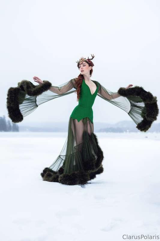 claruspolaris image #4