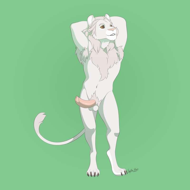 Naar Commission