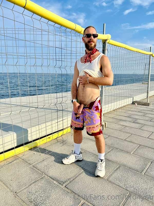 Hello there! Want to go for a walk?