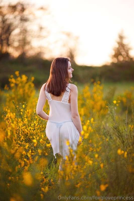 foxgloveprincess image #1