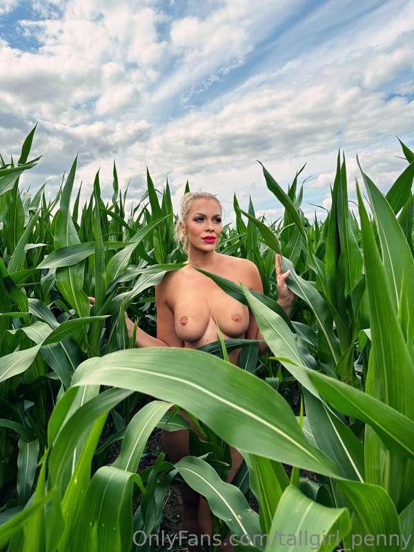 Had some fun shooting in a corn field 😈