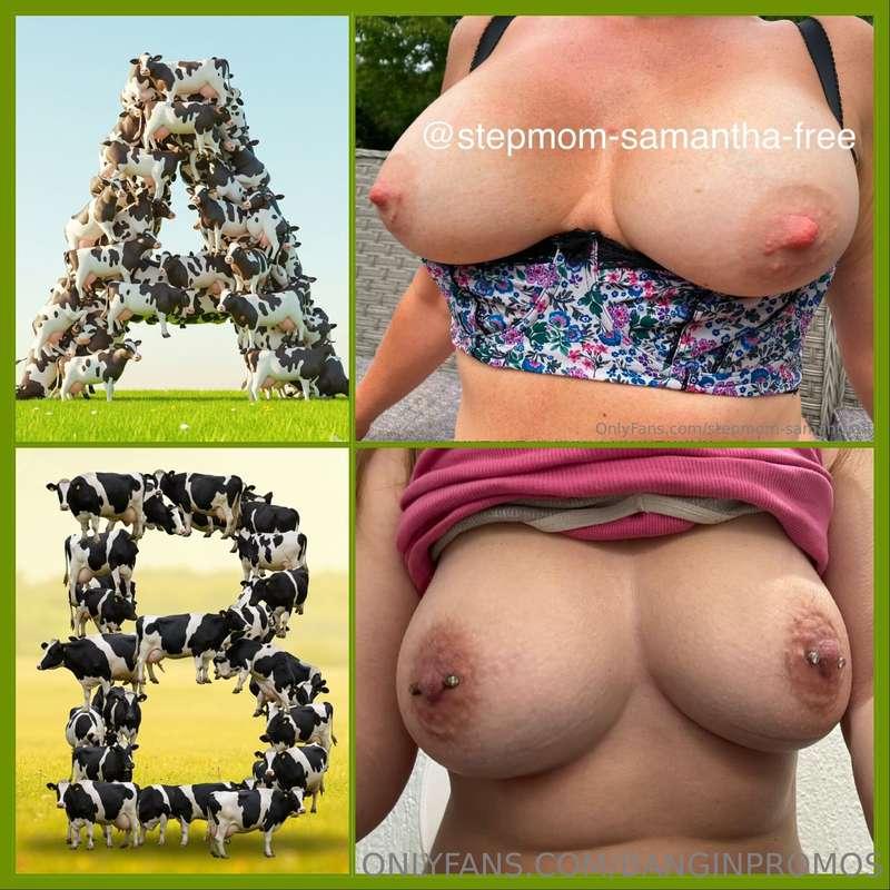 𝕭𝖊𝖘𝖙/𝕭𝖗𝖊𝖆𝖘𝖙: 141st Round (Swipe for Full Views)𝓐: @stepmom-s..
