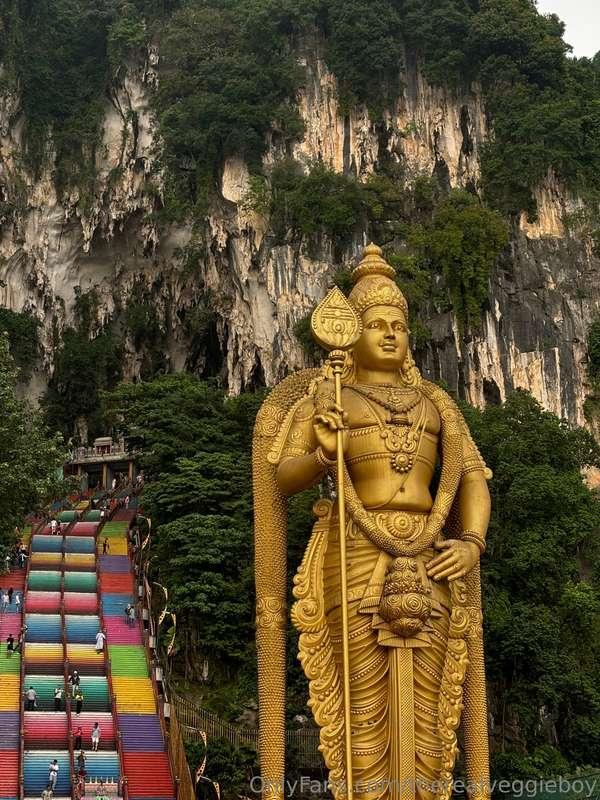 therealveggieboy image #9