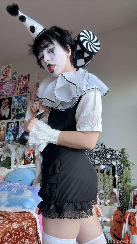 indigowhite image #121