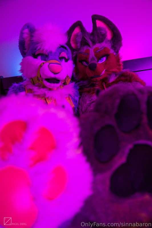 Ube, you have such cute beans 👀