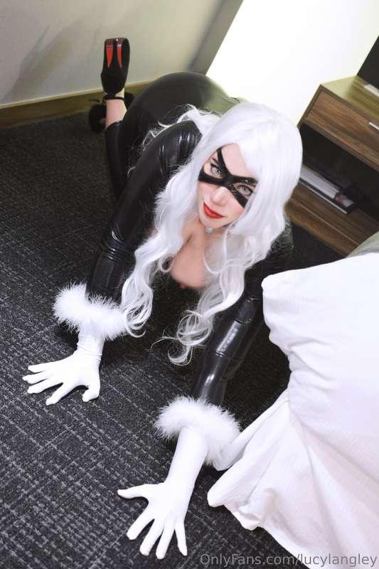 Black cat les desea una linda noche 💤💤🩵