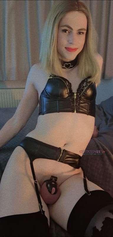 stephsis image #0