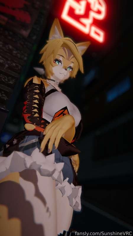 sunshinevrc image #38