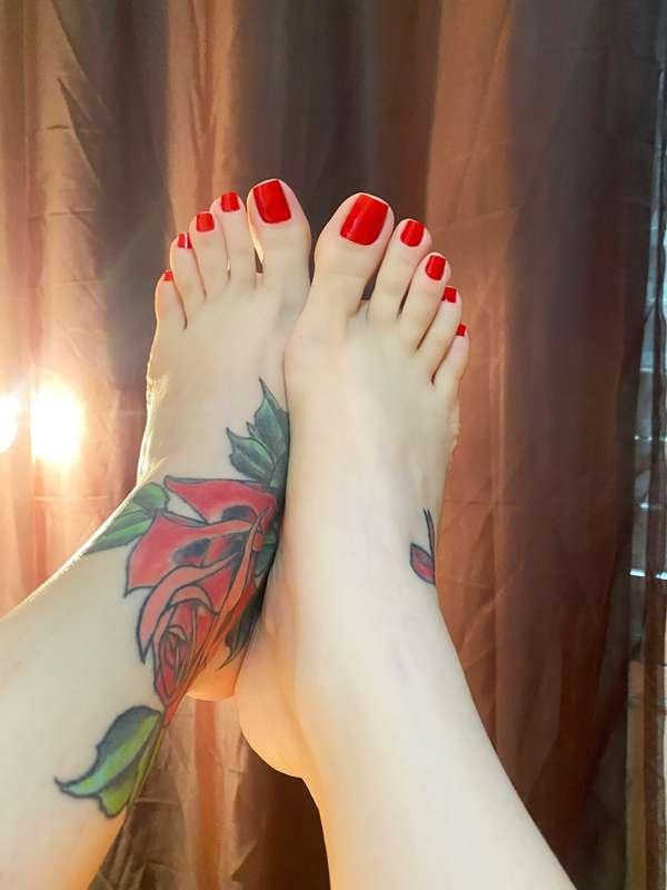 Like my posts.  Today I posted a lot of content.❣️ Curta meu..