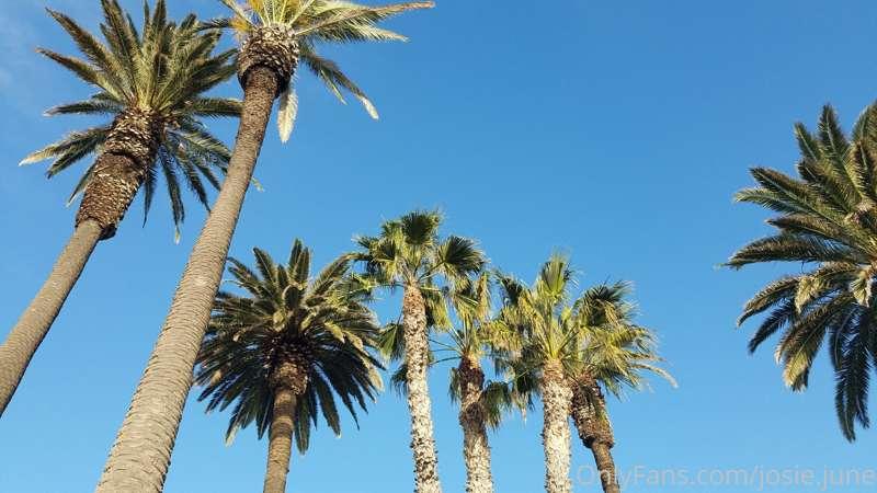 Why does this view immediately make me so happy? 😭 HAPPY MON..