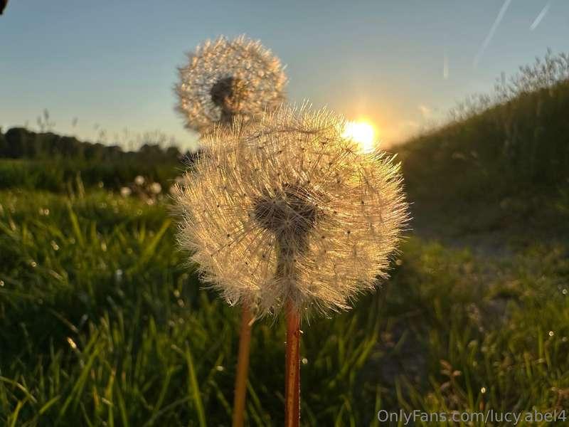 Let's go for a walk, will you join me?🤭🌸🍀