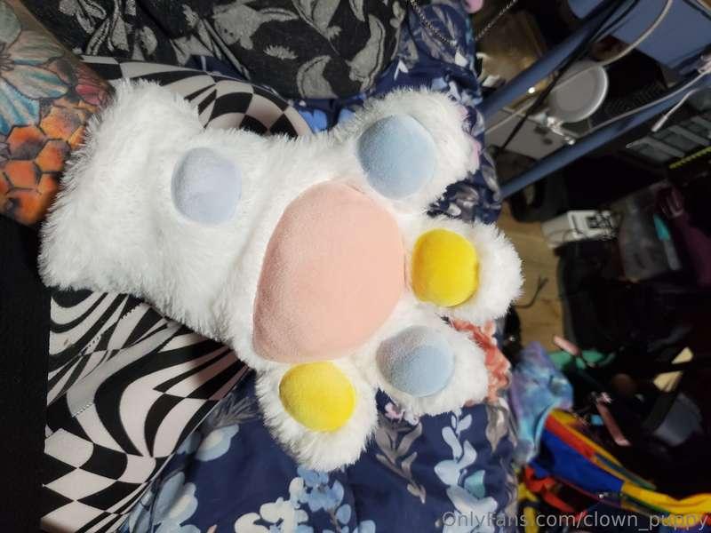 This puppy has squeaky paws now! What kind of videos do you ..