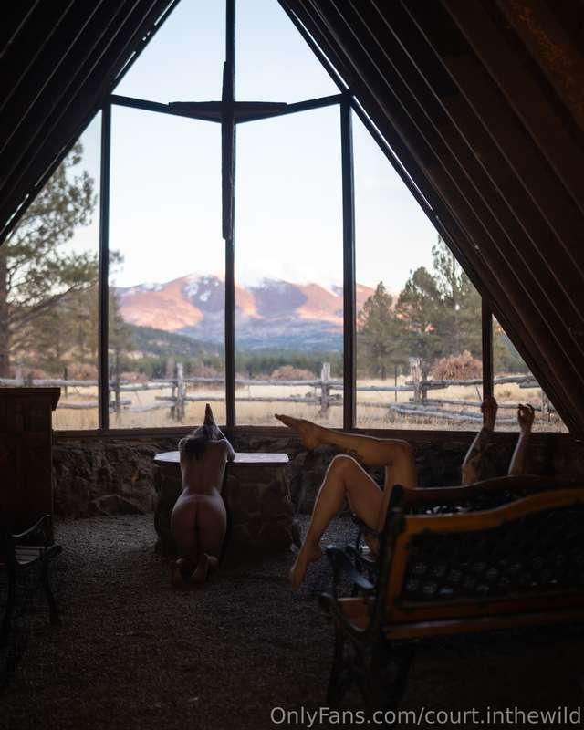 court.inthewild image #11