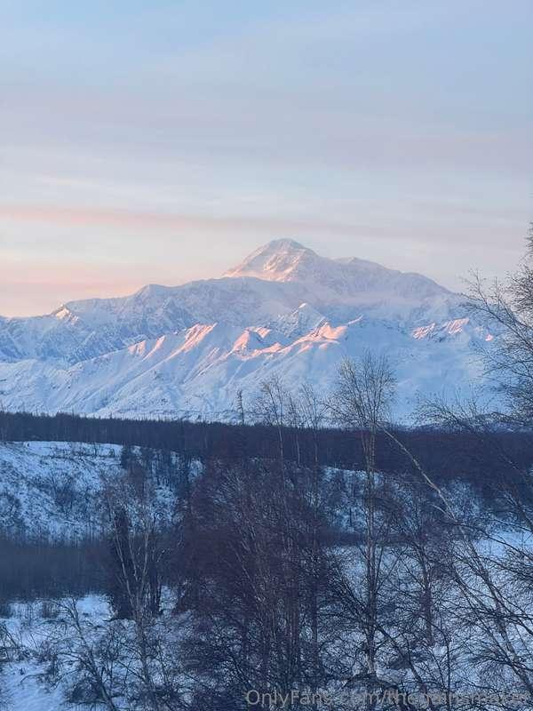 thegainsmaker image #17