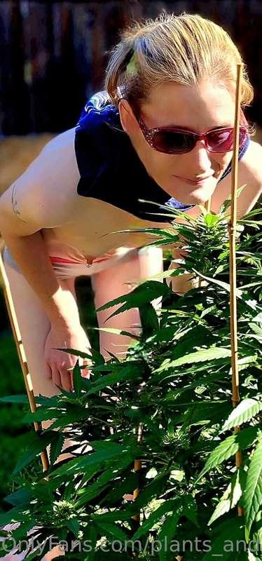 plants_and_piercings image #4