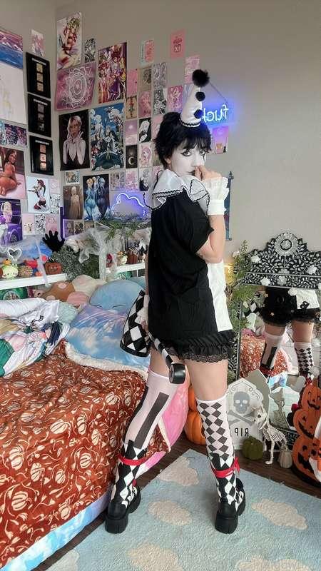 indigowhite image #92