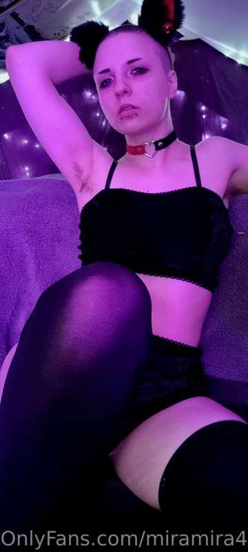 Come play with your lil kitten!  😻