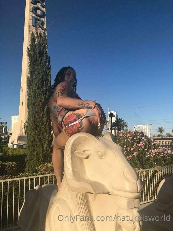 naturalsworld main image