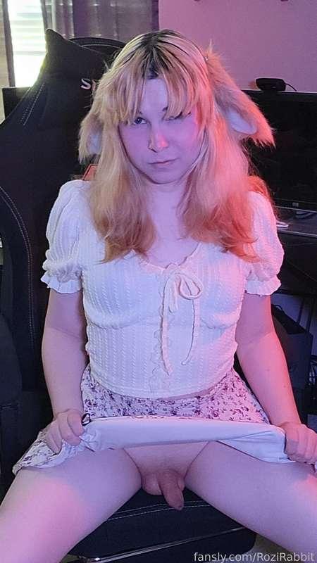 rozirabbit image #10