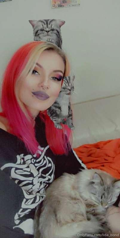 You think it would be enough of cats? 🐱