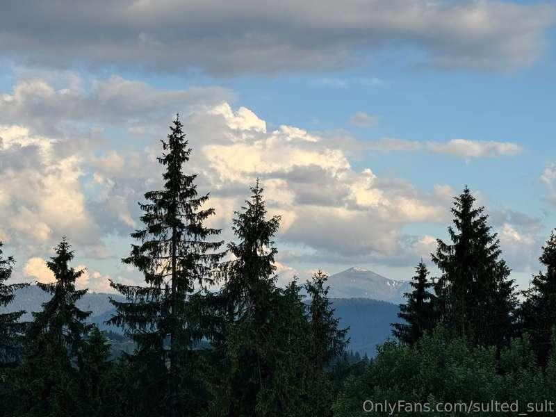 sulted_sult image #4