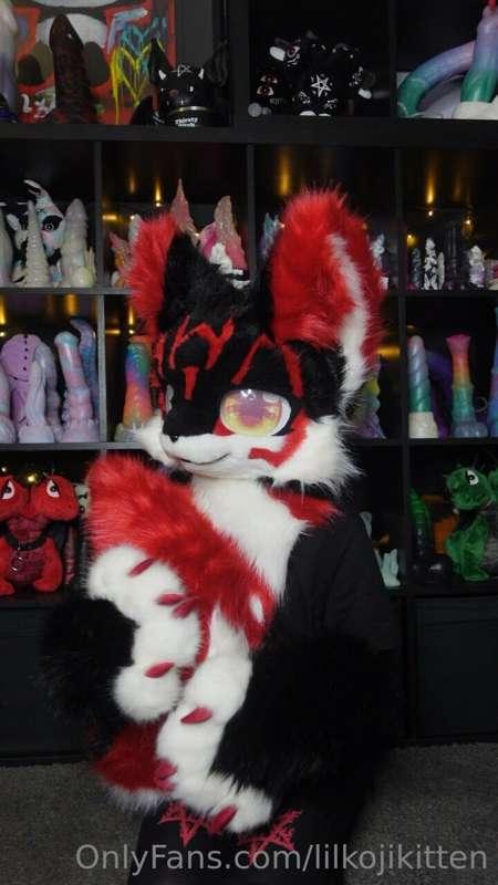 Sorry for the lack of posts in fursuit, I take a break from ..