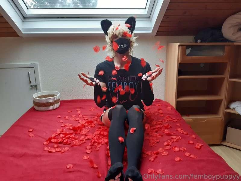 femboypuppyy image #0