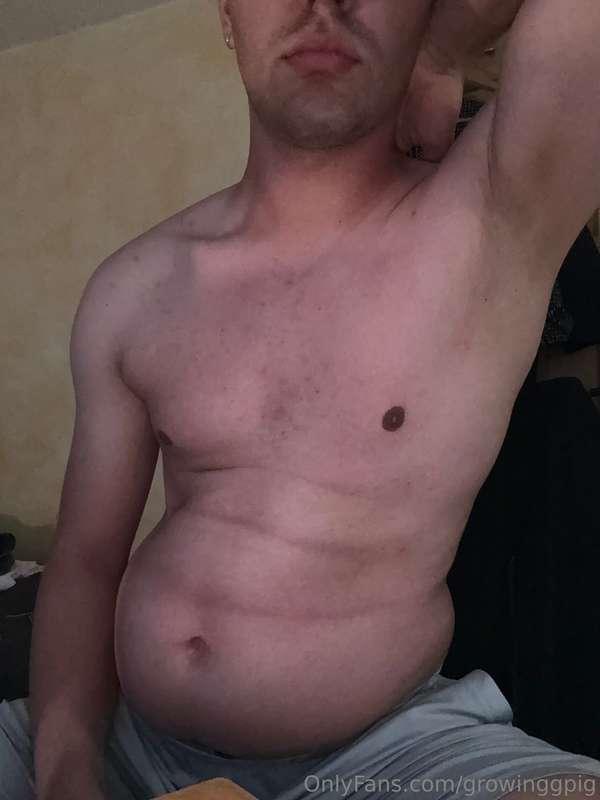 growinggpig image #3