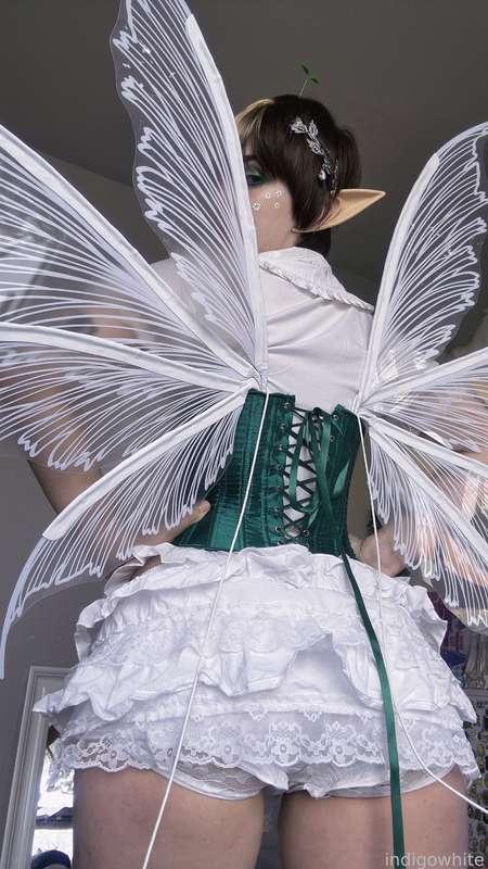 indigowhite image #418