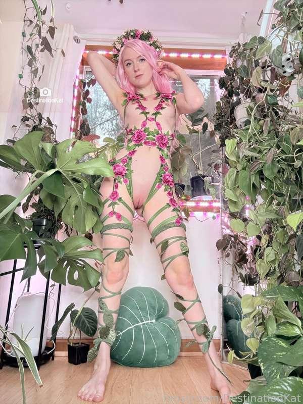 destinationkat image #18