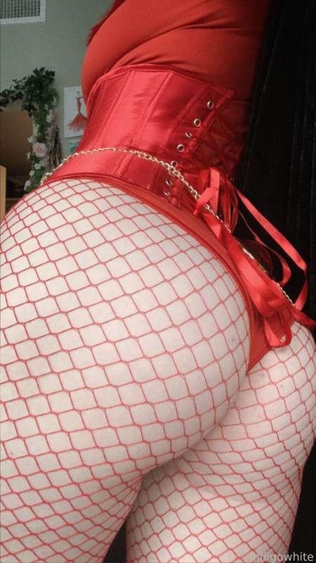 indigowhite image #195