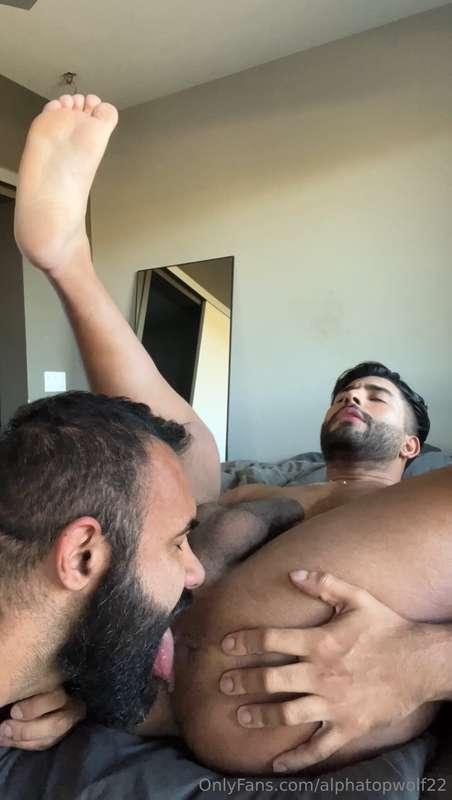alphatopwolf22 image #13