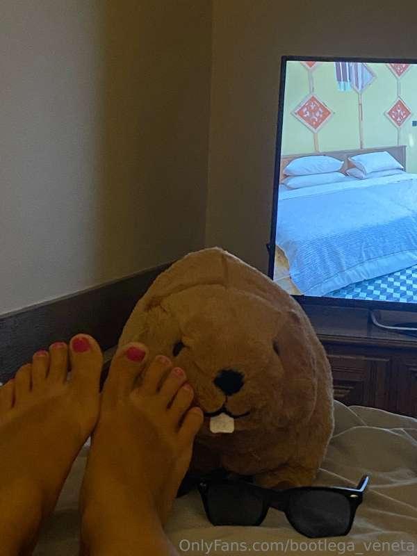 Ten Bóbr lubi stopy