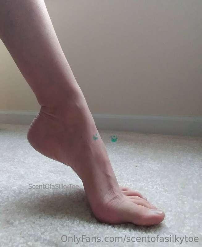 Will the shoe fit?