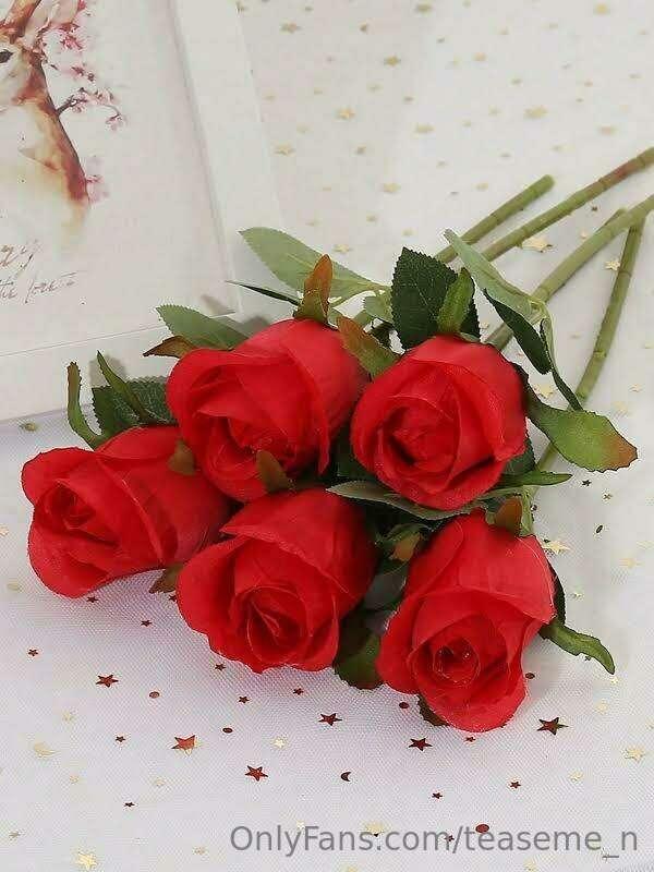 keep me company? send me a rose to let me know you’re all mi..