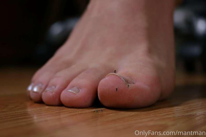 The tinies were furious! How dare she walk over them like bu..