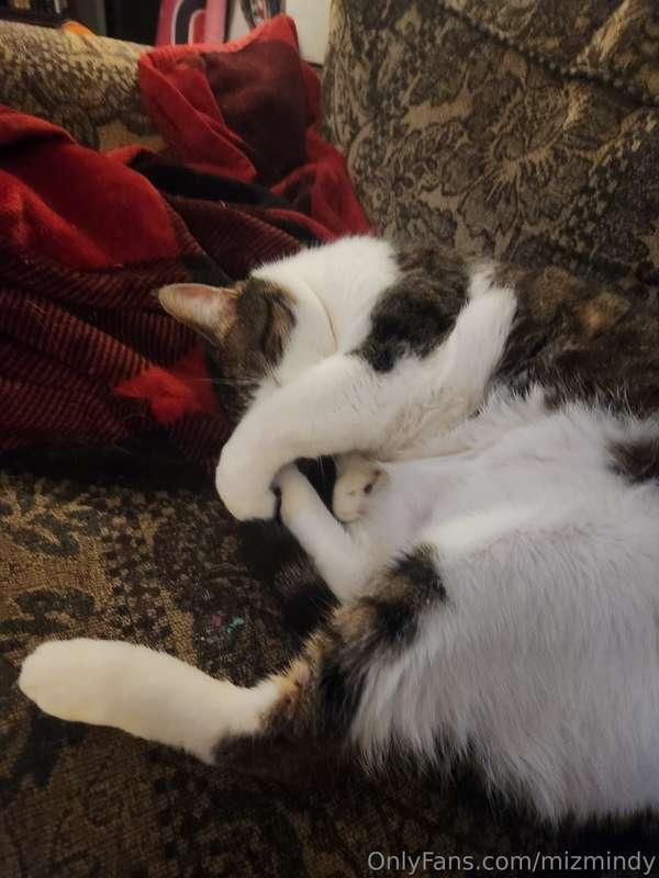 I SWEAR I'm gonna get those videos out by Wednesday. I think..