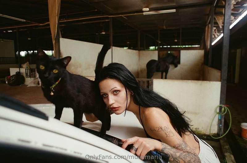 She purrs only when she wants to.And today… she wanted🐈‍⬛💦