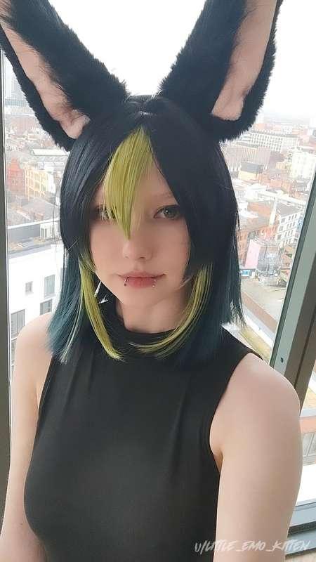 little_emo_kitten image #4