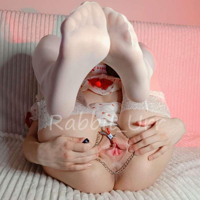 rabbit_urr image #0